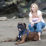 Lynsey & Bentley