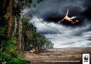 WWF - Save your forests